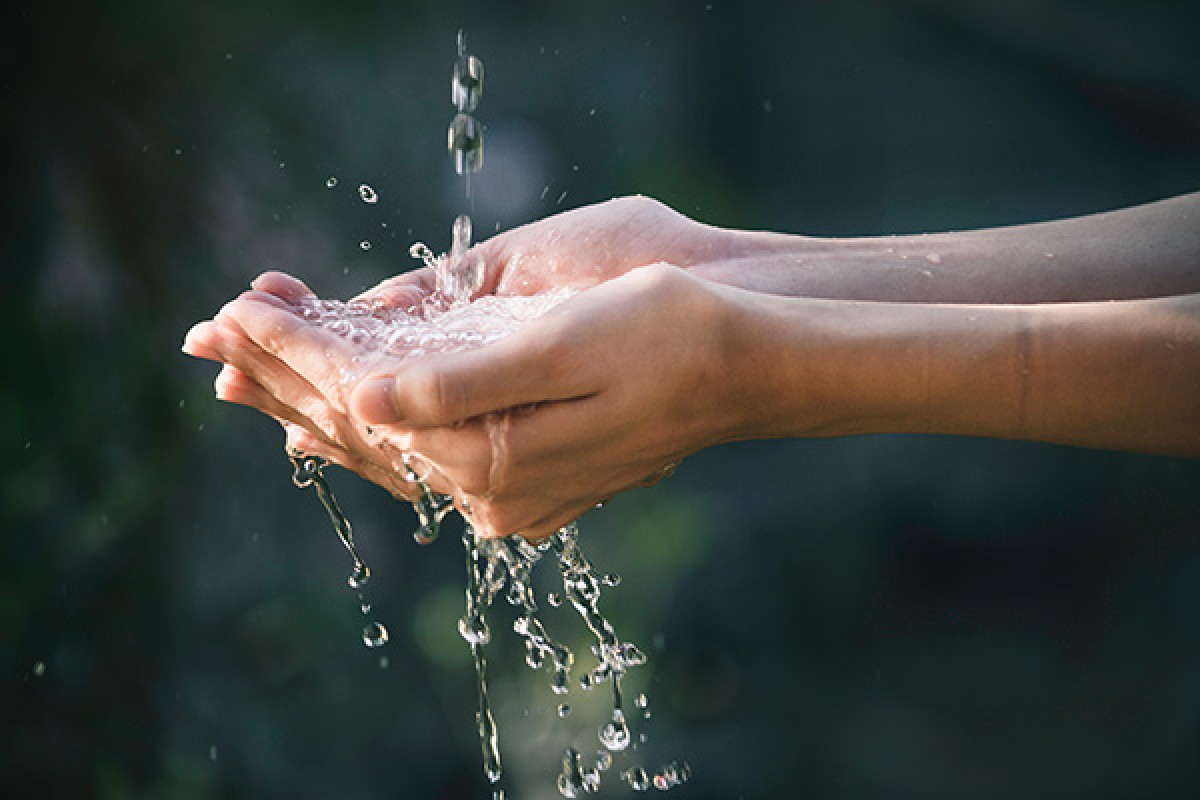 Water Reports